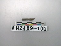 藏品(磨製石針)的圖片